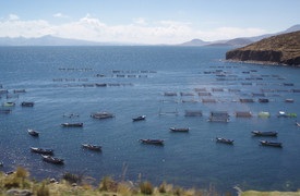 Lacul Titicaca, Puno