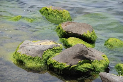 Lacul Titicaca din Peru și insulele Uros și Tacic, titicaca, uros, taquile