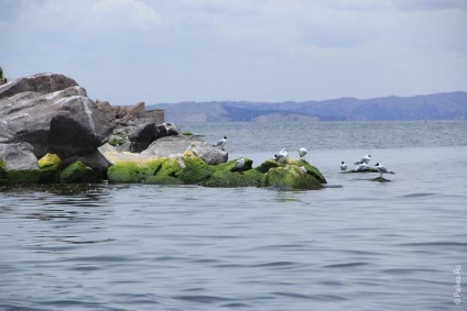 Lacul Titicaca din Peru și insulele Uros și Tacic, titicaca, uros, taquile