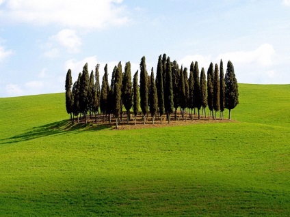 Peisaje din Toscana, Italia (24 poze)