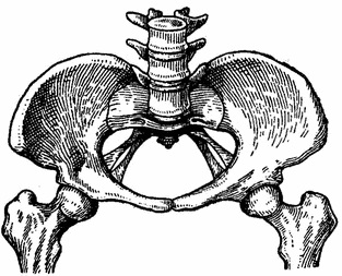 Ploskorahitichesky pelvis, caracteristicile anatomice și clinice ale diferitelor forme ale pelvisului îngust, obstetrică