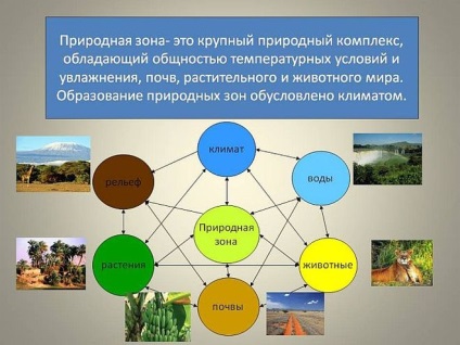 De ce zona naturală este considerată un complex natural