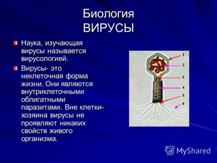 De ce virușii sunt numiți paraziți intracelulari