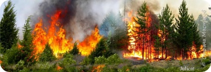 Un lucru ciudat - o dioramă la școală - să aibă grijă de pădure din foc! În ziua apărării civile, țara maeștrilor