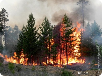 Un lucru ciudat - o dioramă la școală - să aibă grijă de pădure din foc! În ziua apărării civile, țara maeștrilor