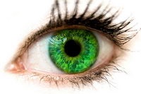 Roșeața proteinelor din ochi - de ce apare și cum să se ocupe de ea