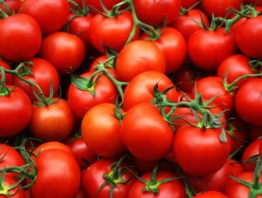 Tomato - boabe sau legume