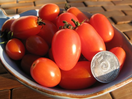 Tomato - boabe sau legume