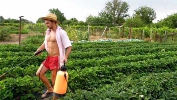 Szivattyú és hátizsák kézi kerti permetezők hogyan kell kiválasztani a leghatékonyabb