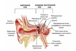 După ce mi-am spălat nasul, urechea mi-a făcut dureri, ce să fac