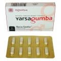 Medicamentul pentru creșterea potenței masculine - yarsagumba - (yarsagumba)