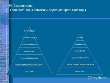 Prezentarea cu privire la scopul și obiectivele lecției de a forma o idee a tiparelor de schimbare