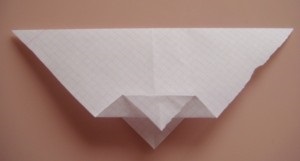 Animale simple origami