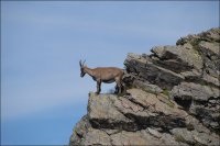 A Mont Blanc felé vezető út