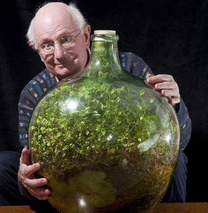 Plante într-o sticlă