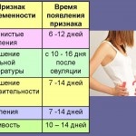 Stomacul crește în cauzele femeilor de ginecologie 6 întrebări despre simptomele fibromului uterin, diagnosticul și tratamentul