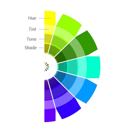 Desenarea infographics cum să alegeți o culoare