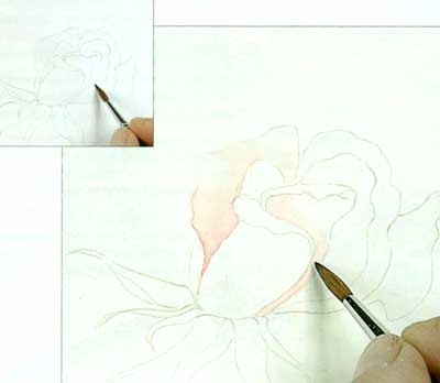 Desen trandafiri cu acuarelă
