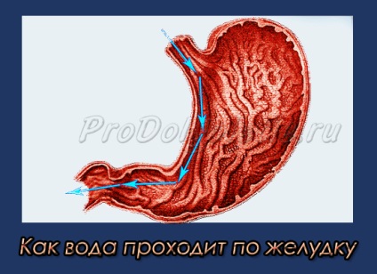 A hosszú élettartam, a keleti orvoslás, a fiatalító és a hosszú élettartam legegyszerűbb titka