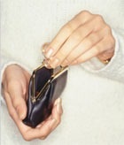 Secretele unei pungi - o pungă, bani, salariu, imagine, carte de credit