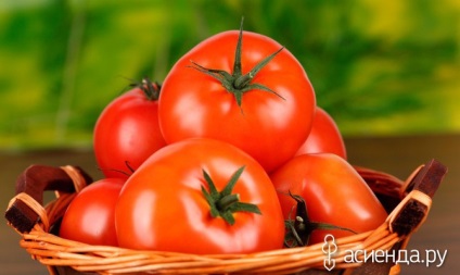 Sfaturi pentru cultivatorii de legume pentru tomate