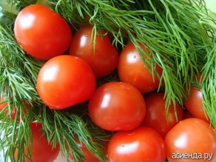 Sfaturi pentru cultivatorii de legume pentru tomate