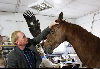 Taxidermist sau producător de animale împăiate