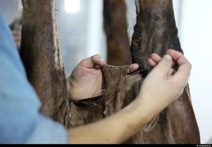 Taxidermist sau producător de animale împăiate