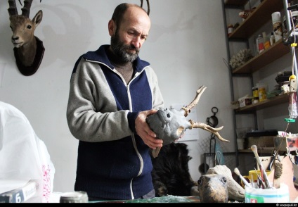 Taxidermist sau producător de animale împăiate