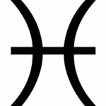 Simbolul tatuaj al valorii peștelui zodiacal, fotografie și schițe