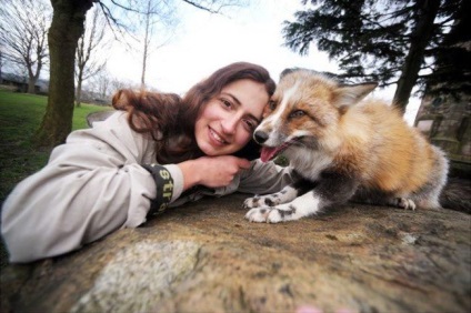 Todd este o vulpe care crede că este un câine, umkra