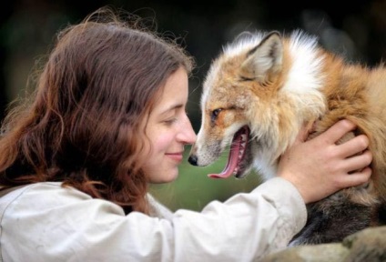 Todd este o vulpe care crede că este un câine, umkra