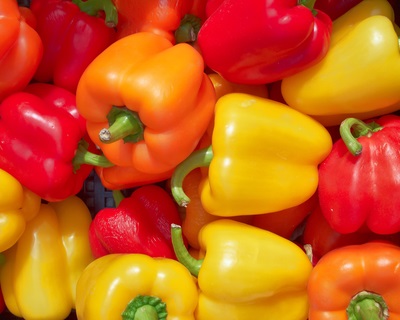 Tomate - legume - bibliotecă - fermă de familie