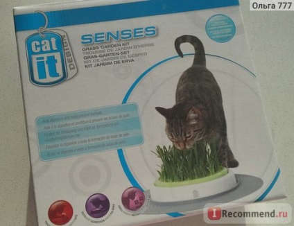 Ierburi pentru pisici hagen catit simte o grădină cu iarbă - 