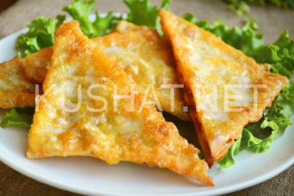 Triunghiuri de pâine pita cu brânză