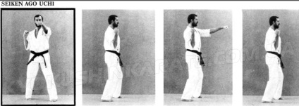 Curse de mână în kiokushin karate - kyokushin karate - știri (kyokushin karate)