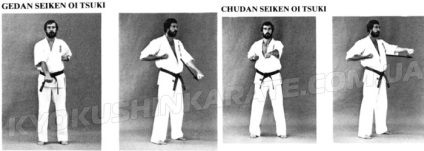 Curse de mână în kiokushin karate - kyokushin karate - știri (kyokushin karate)