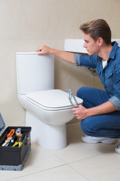 Selecția și montarea toaletei în conformitate cu toate regulile, construcția și repararea