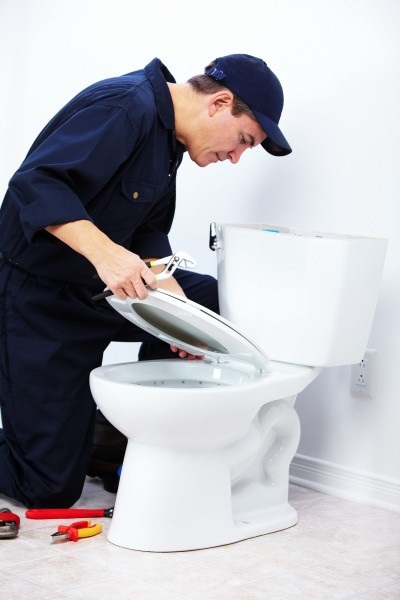 Selecția și montarea toaletei în conformitate cu toate regulile, construcția și repararea
