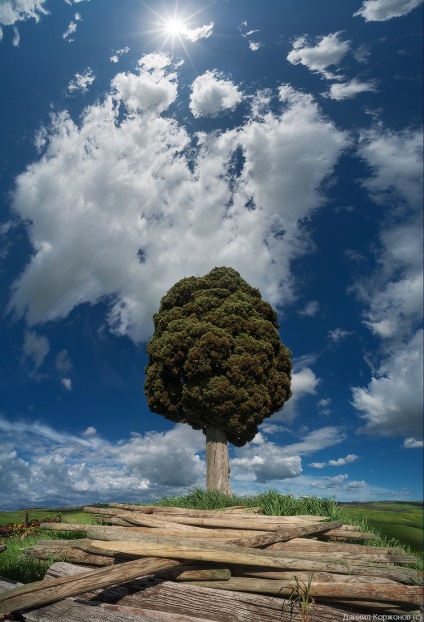 Primăvara Toscana, știri despre fotografii