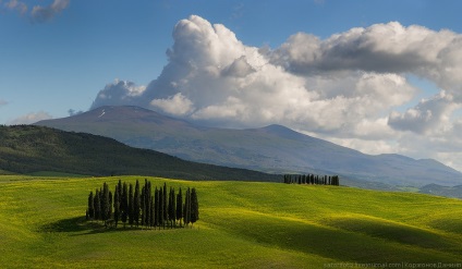 Primăvara Toscana, știri despre fotografii