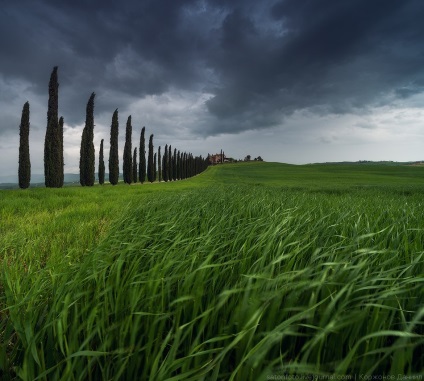 Primăvara Toscana, știri despre fotografii