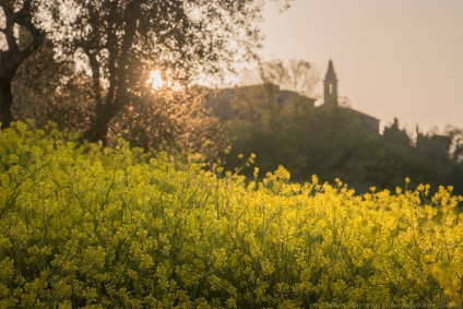 Primăvara Toscana, știri despre fotografii