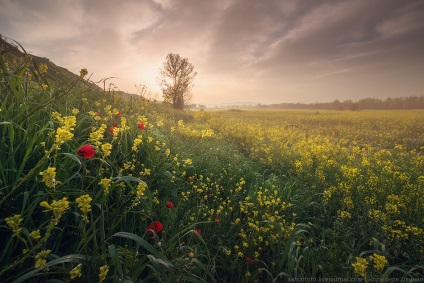 Primăvara Toscana, știri despre fotografii