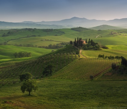 Primăvara Toscana, știri despre fotografii