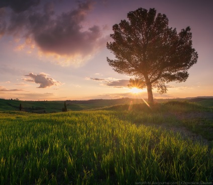 Primăvara Toscana, știri despre fotografii