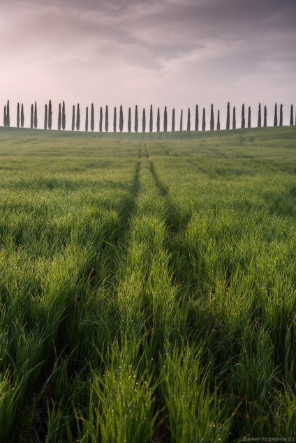 Primăvara Toscana, știri despre fotografii