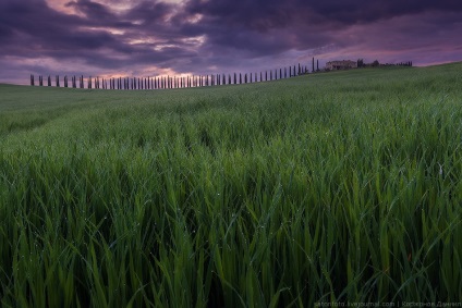 Primăvara Toscana, știri despre fotografii