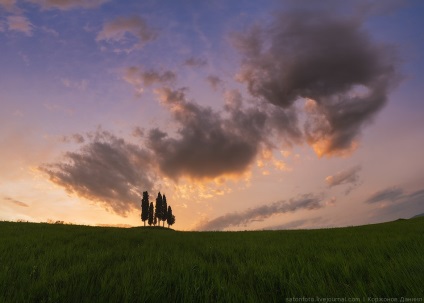 Primăvara Toscana, știri despre fotografii