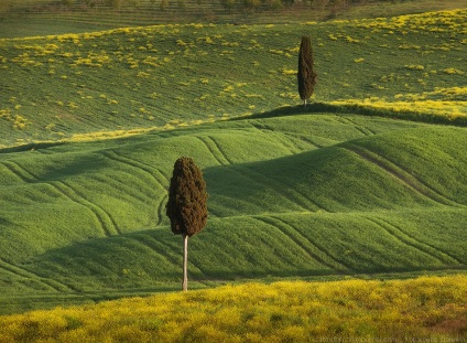 Primăvara Toscana, știri despre fotografii